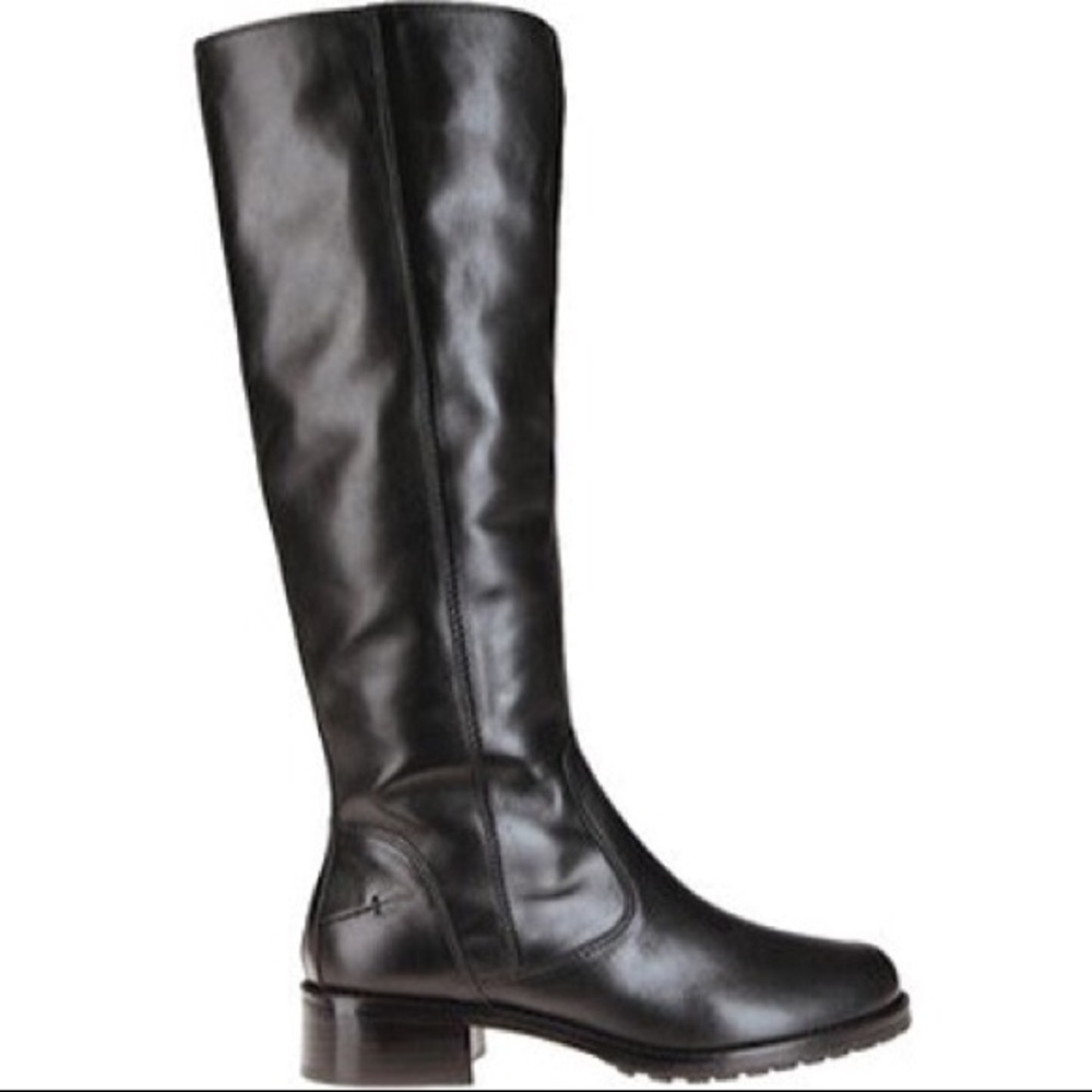 Donald J Pliner “Bixbi” Riding Boot